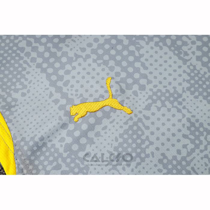 Maglia Allenamento Borussia Dortmund Senza Maniche 2025-2026 Grigio